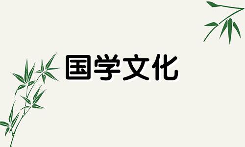 紫玫瑰花语是什么意思 紫玫瑰花语是什么意思 寓意