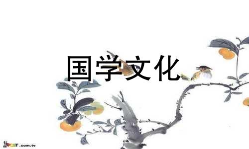 11朵百合花语象征意义是什么呢