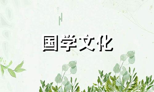 11朵红玫瑰花语是什么意思玫瑰代表什么意思