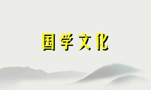 黄百合花语是什么意思 黄百合花语代表什么意思