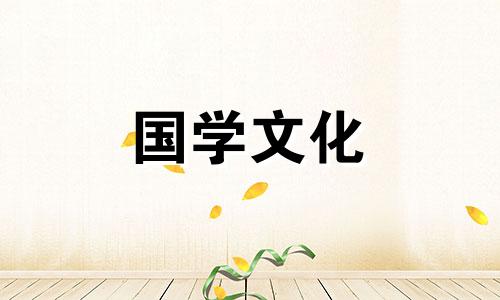 揭秘17朵康乃馨花语是什么意思