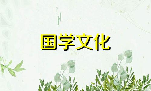 揭秘10朵向日葵花语是什么意思