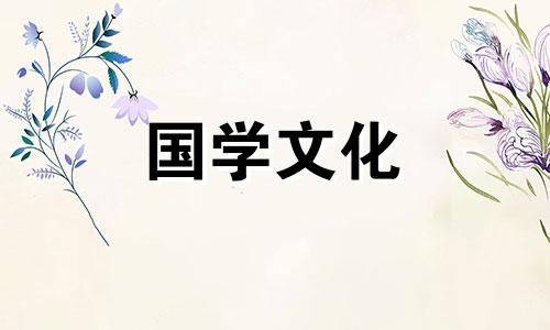 9朵向日葵的花语是什么意思