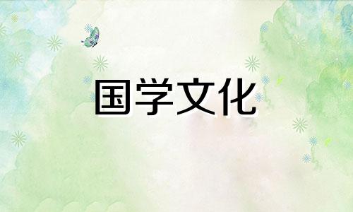 向日葵花语是什么意思入目无他人