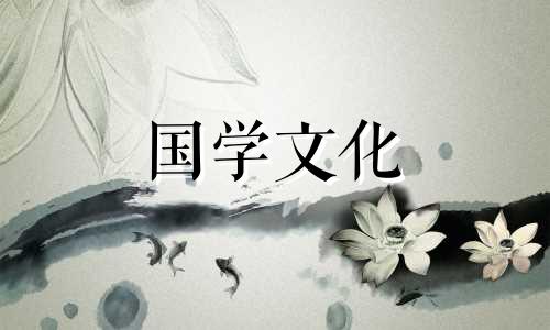 棕榈花花语是什么意思 棕榈花是什么样子的