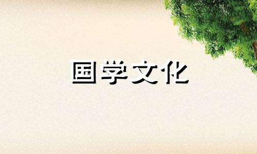 简述18朵百合花语是什么意思