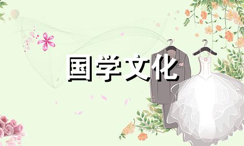 百合花泡水喝的功效与作用及禁忌