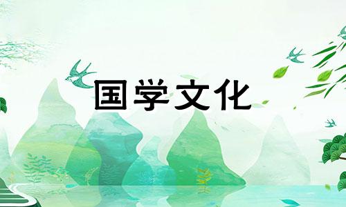 石斛兰花语是什么意思 石斛兰花花的花语是什么