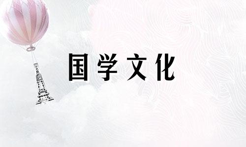 黄杨花语的象征意义是什么呢