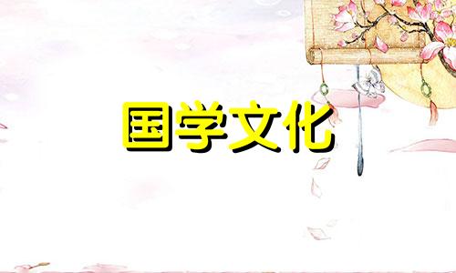 橙色百合花花语是什么 橙色百合花是什么品种