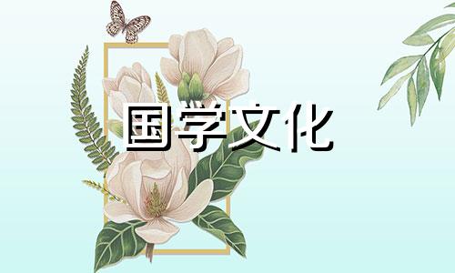 揭秘11朵蓝色妖姬花语的寓意是什么