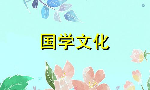 绿色曼陀罗花语是什么 绿色曼陀罗别名