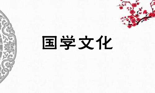 12朵百合花的花语是什么意思