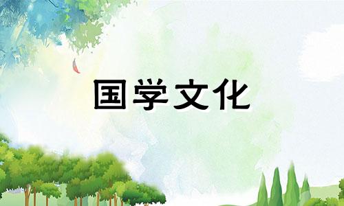 介绍白玫瑰花语每朵代表什么意思