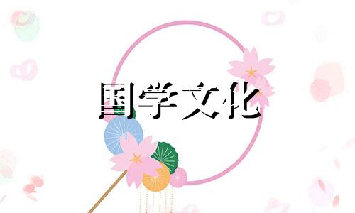 揭秘风信子花语及传说是什么意思啊