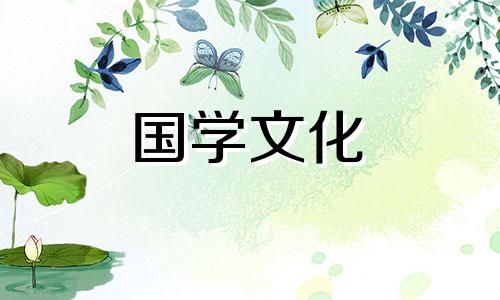 各种花的花语:棕竹花语是什么意思