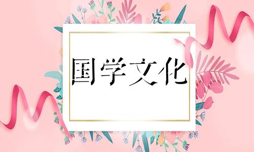 介绍黑玫瑰花语每朵代表什么意思