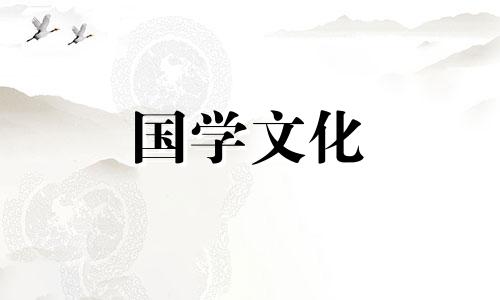 玫瑰花语大全,全世界最浪漫的花语是什么