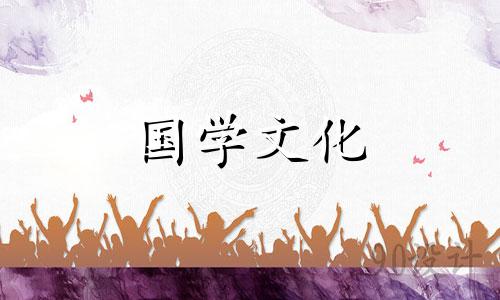 各种花的花语:白色桔梗花的花语是什么