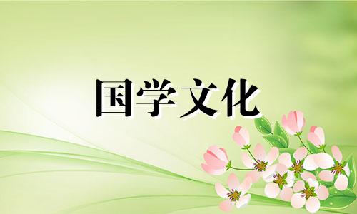 黑玫瑰一般送给什么人 黑玫瑰花语及寓意