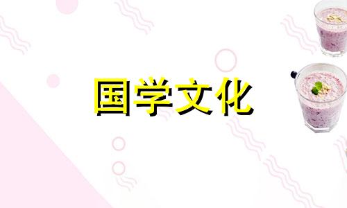 紫色马蹄莲花语象征与寓意