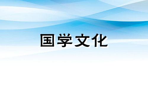 紫色曼陀罗花花语是什么 紫色曼陀罗的寓意和花语