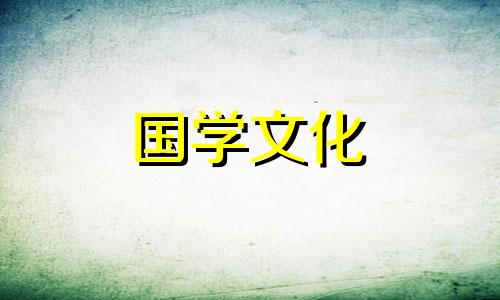 花的含义及代表意思是什么