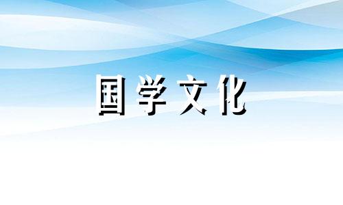 16朵百合花语是什么意思 16朵百合花的含义