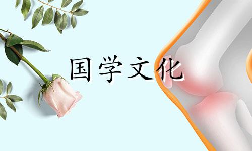 各种花的花语:矮樱花的花语是什么