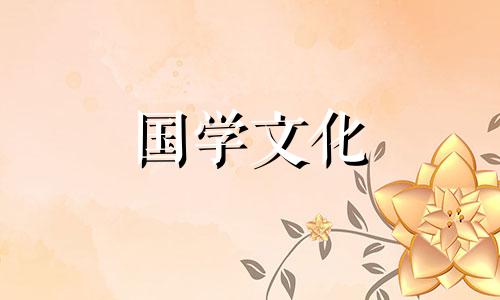 19枝紫色郁金香花语和寓意是什么