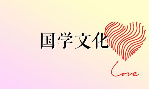 鸢尾花的花语是什么啊 鸢尾花寓意着什么