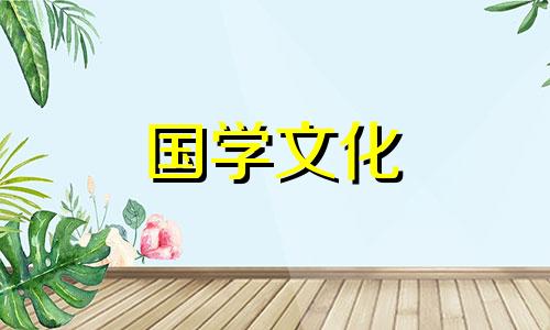 144朵玫瑰代表什么意思 144朵玫瑰花的花语