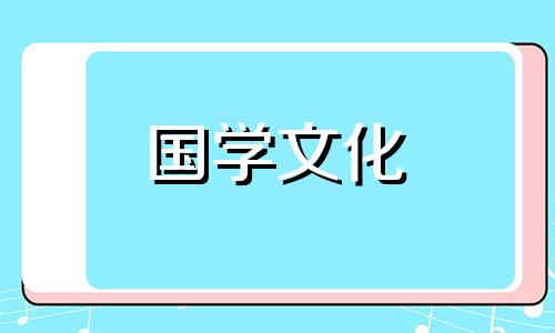 百合花花语是什么意思 7朵百合花语是什么