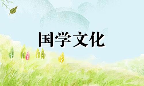 粉色百合图片欣赏,粉色百合花语是什么呢