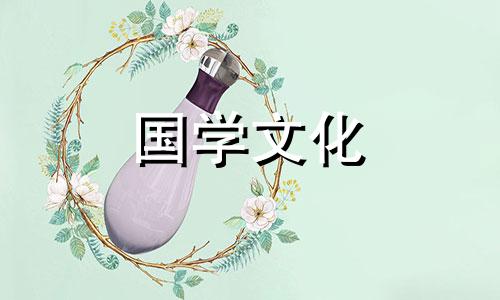 2朵百合花语是什么意思 两朵百合花的寓意