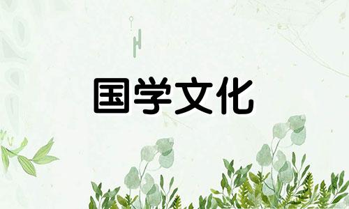 向日葵的花语是什么意思 向日葵的花语我的眼里只有你