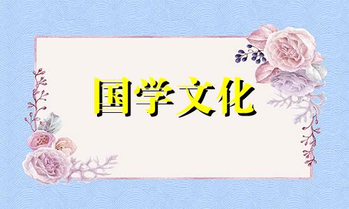 18朵百合花语是什么意思啊