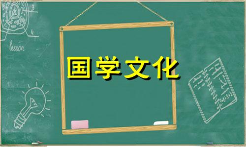 15朵百合花语是什么意思 15朵百合花花语