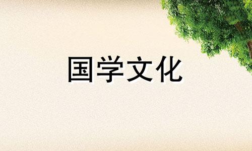 101朵玫瑰代表什么意思 101朵玫瑰花语是什么意思