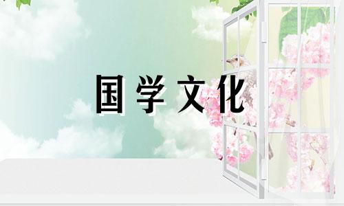 迎春花的花语是什么意思 迎春花 花语