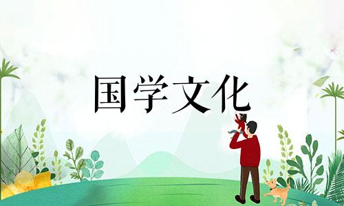 红色蝴蝶兰的花语是什么