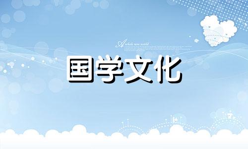 粉玫瑰花语象征与寓意 粉玫瑰花语是什么意思16朵