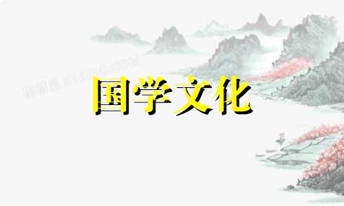 康乃馨四朵代表什么意思 康乃馨几支代表什么象征意义