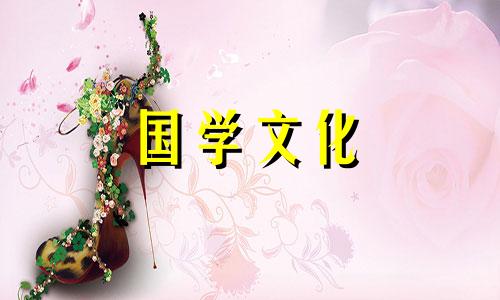 菊花花语大全带图片和花名