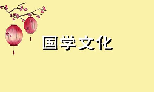 黄玫瑰花语是什么意思 黄玫瑰花语是什么意思寓意