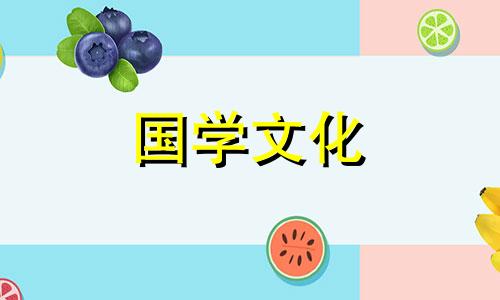 风信子的花语和象征意义 紫色风信子的花语