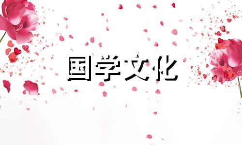 2024年春节是几九第几天 2021春节是几九第几天