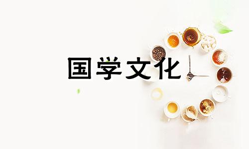 二十四节气大暑图片简笔画大全