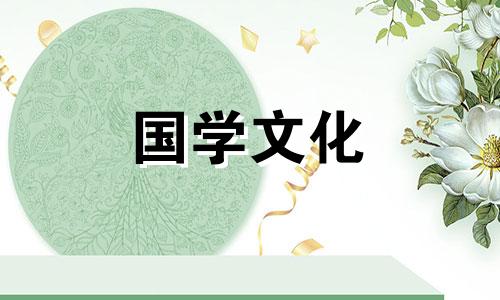 小暑的手抄报简单又漂亮,超难,荷花和荷叶