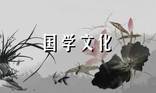 2019年小雪是几月几号几点